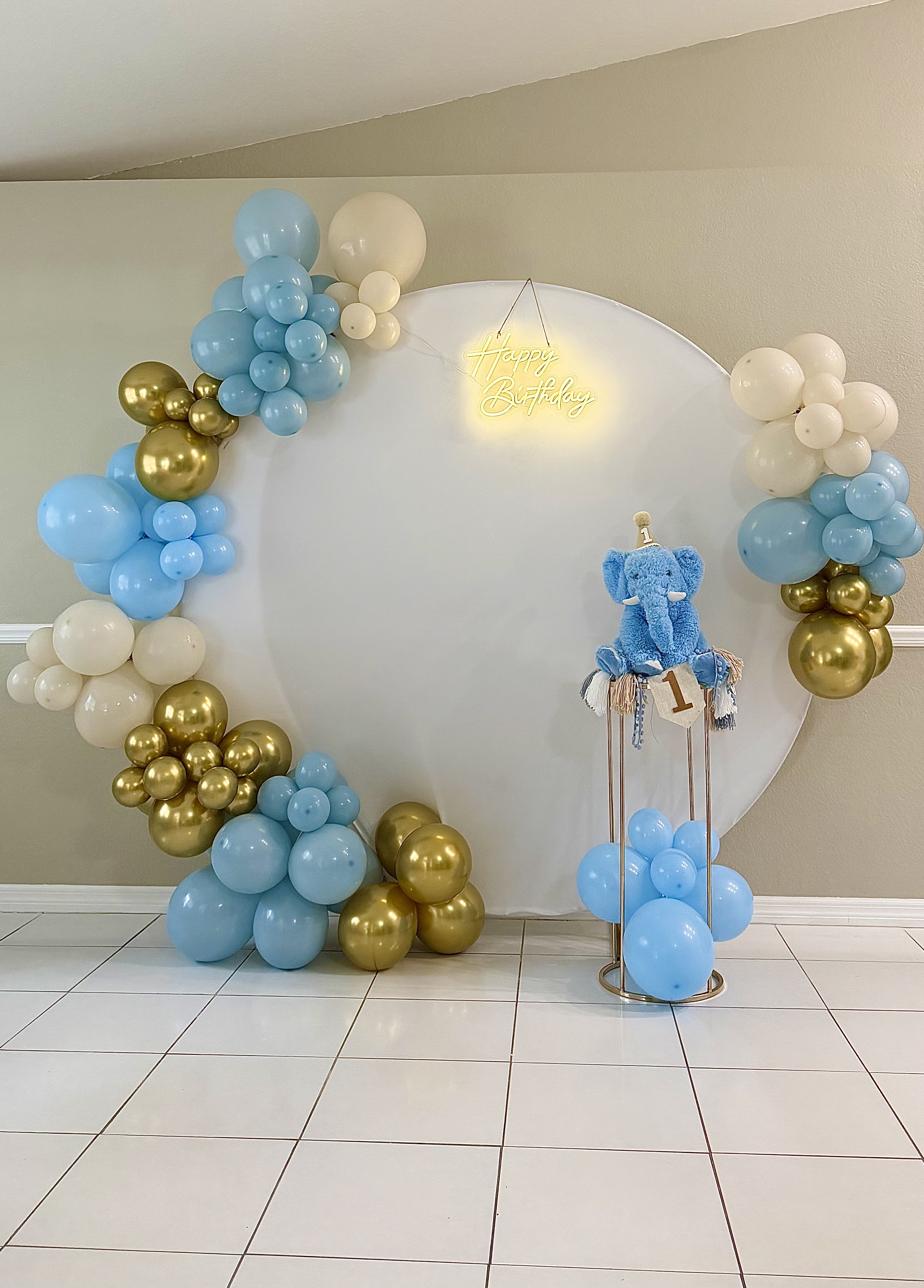 Gender Reveal decoration Florida
